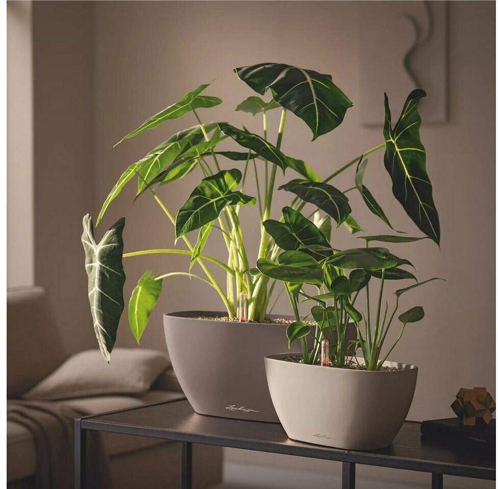 Lechuza Lechuza Navio Color 20 19430 - detail view