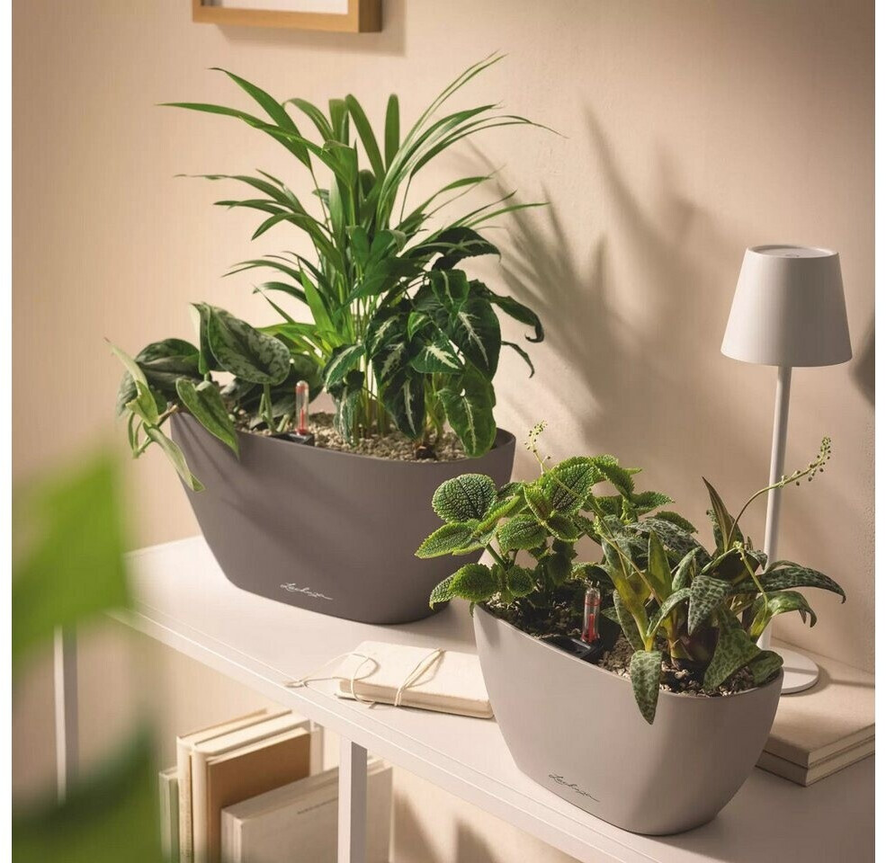 Lechuza Lechuza Navio Color 20 19430 - view 6