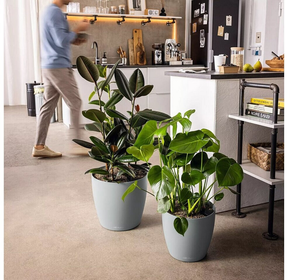 Lechuza Lechuza Classico Color 50 19460 - detail view