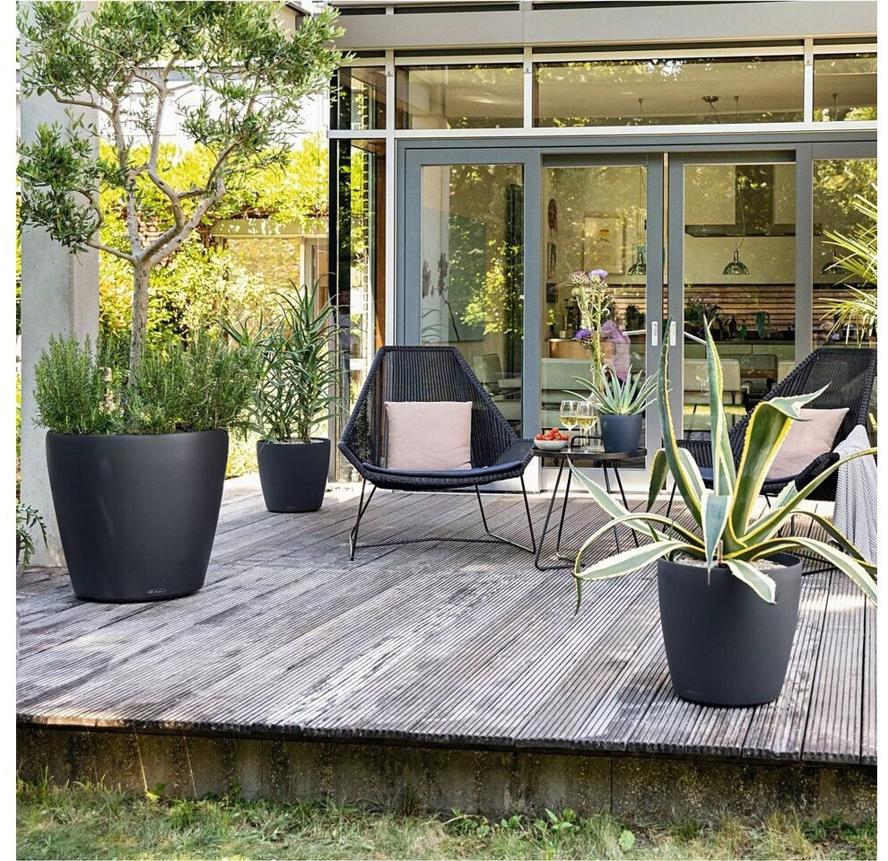 Lechuza Lechuza Classico Color 50 19460 - alternate view