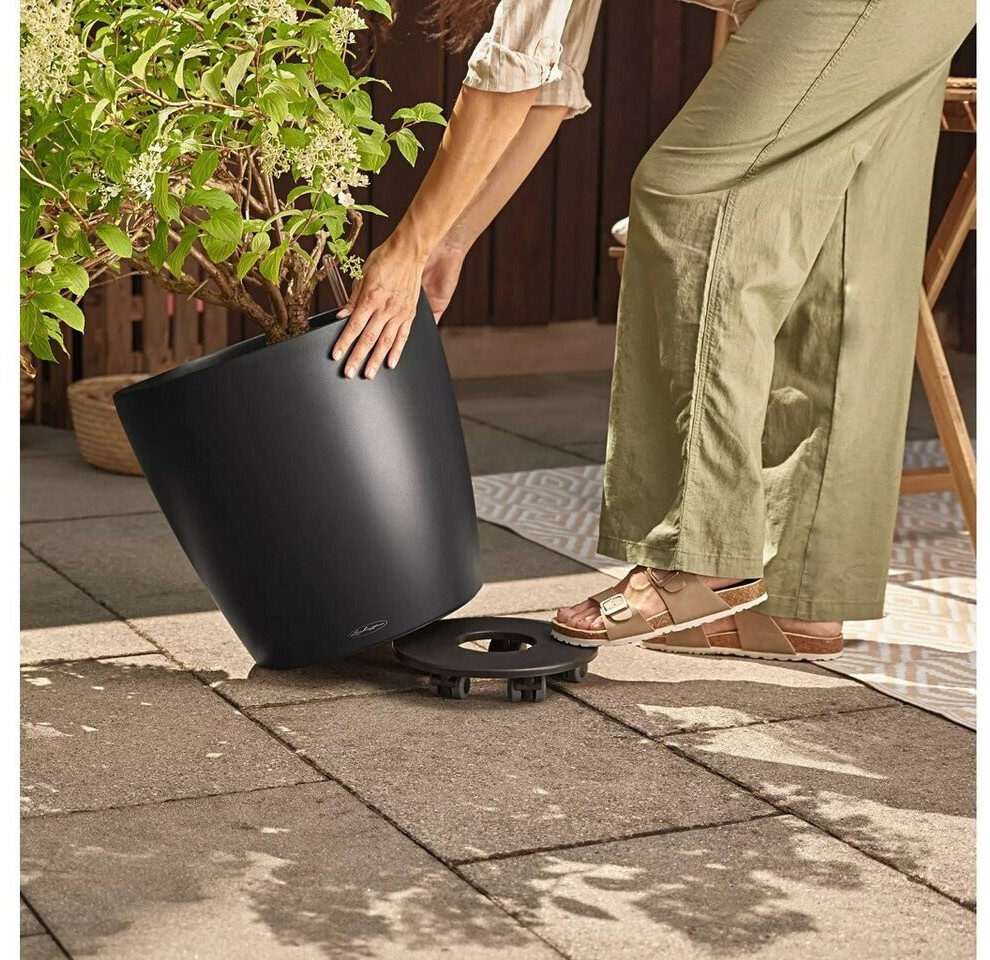 Lechuza Lechuza Classico Color 50 19460 - view 6