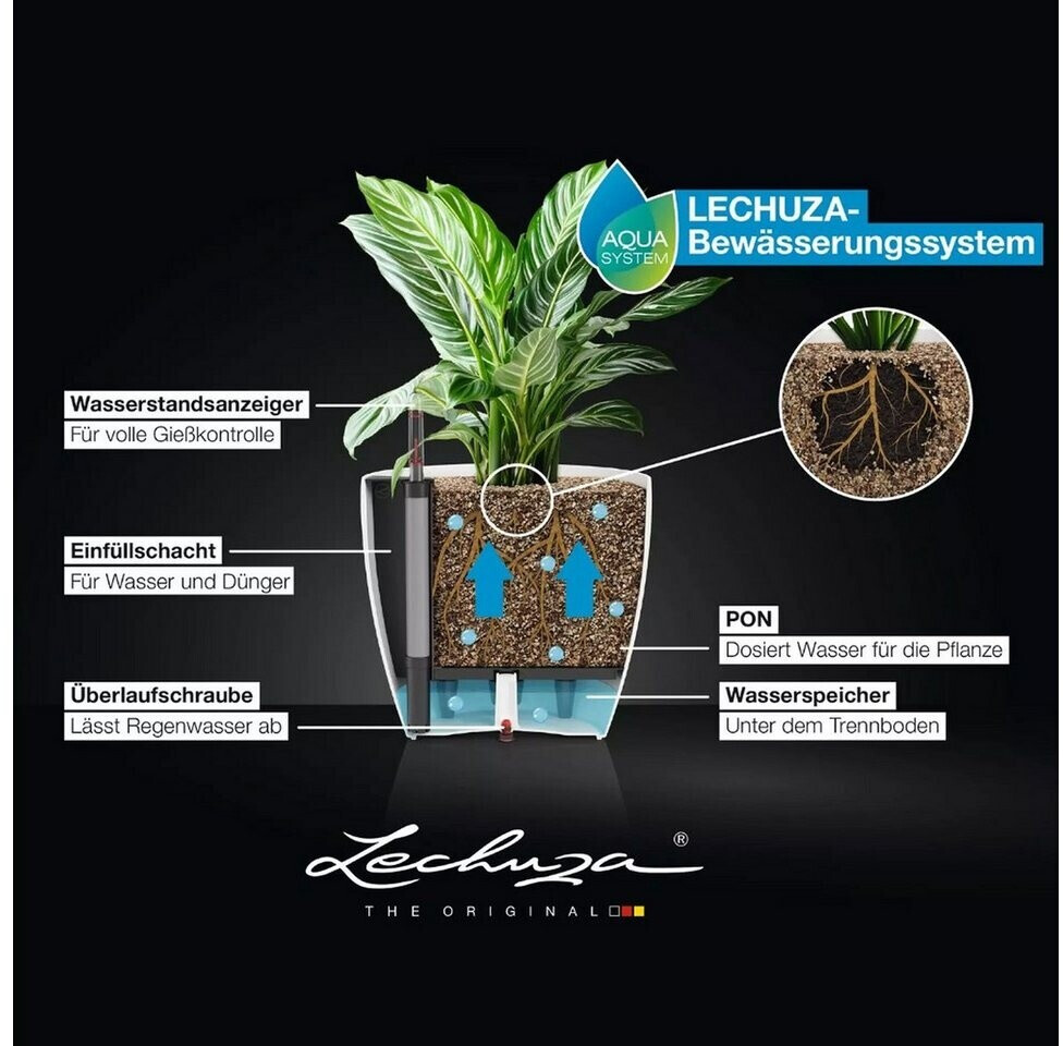 Lechuza Lechuza Classico Color 50 19460 - view 7