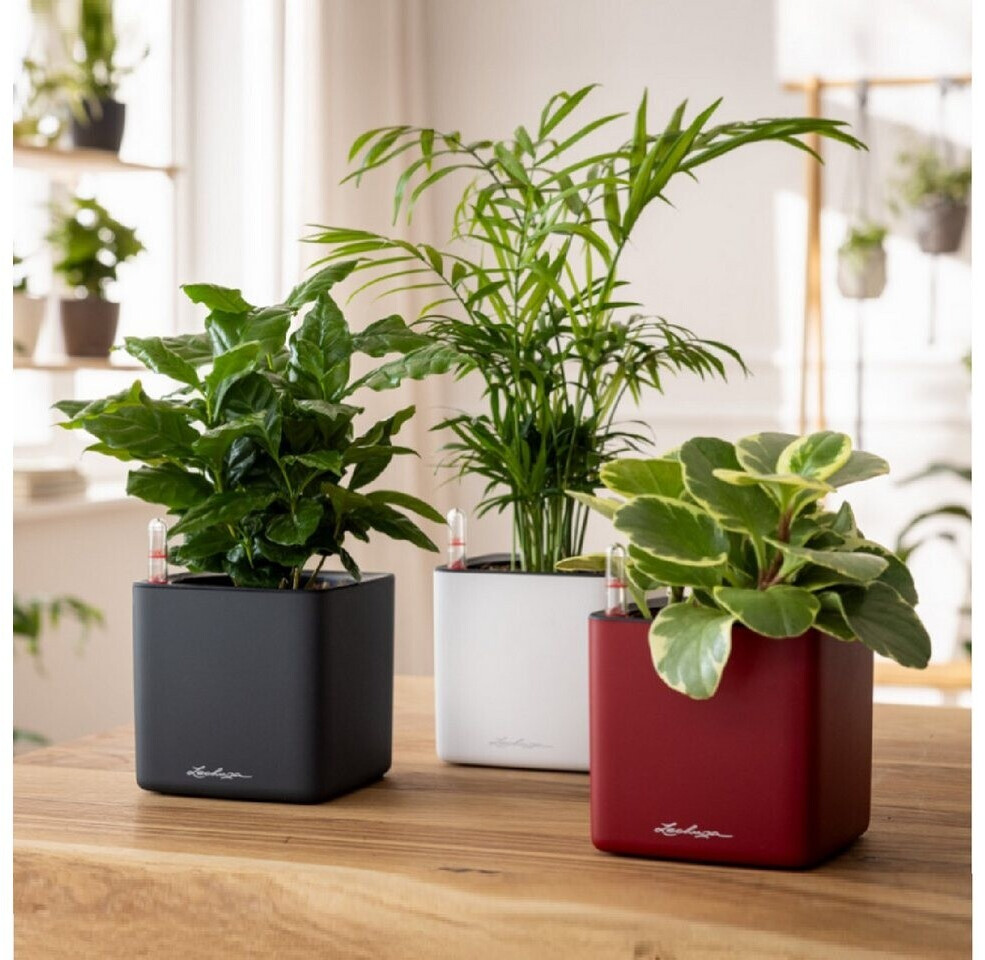 Lechuza Lechuza CUBE Premium 14 13501 - back view