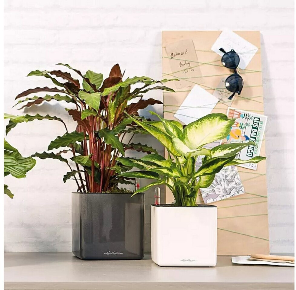 Lechuza Lechuza CUBE Premium 14 13501 - detail view