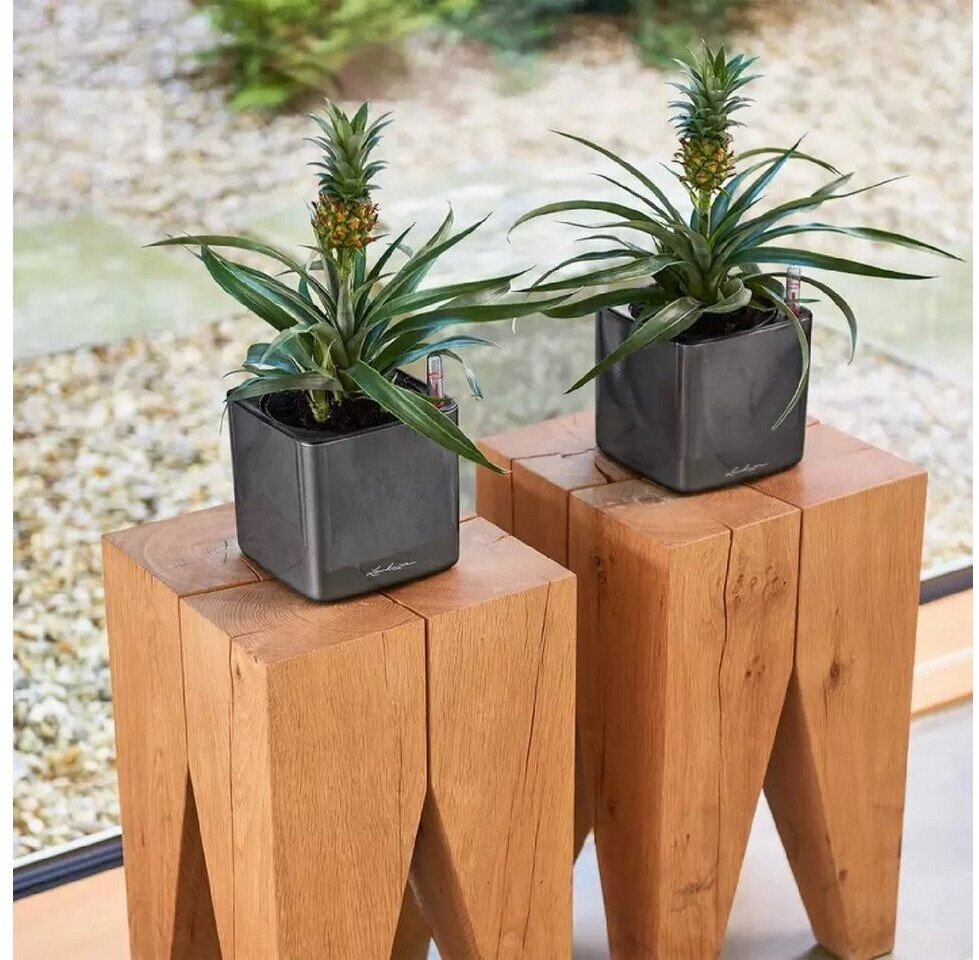 Lechuza Lechuza CUBE Premium 14 13501 - alternate view