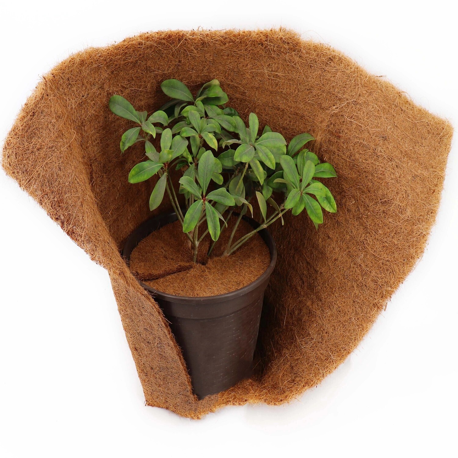 Aquagart Aquagart Coconut Mulch Discs 60 cm 10 pieces - alternate view