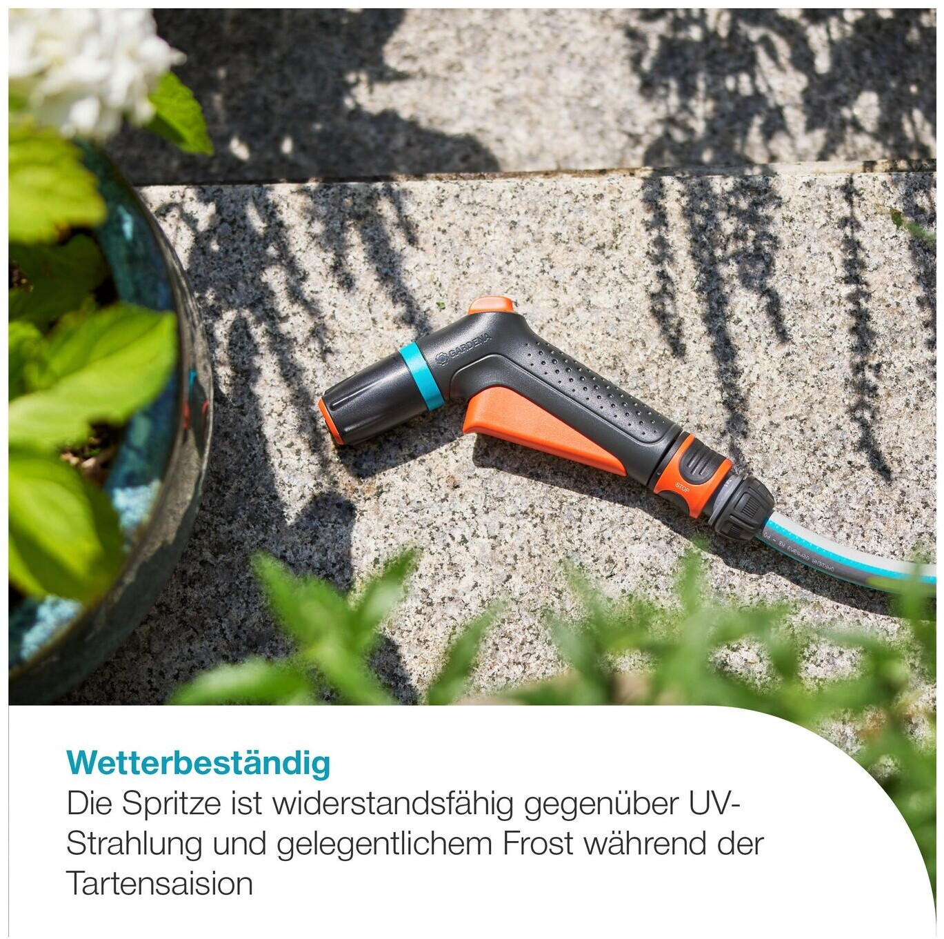 dekoration essen für Blüten und Blätter zum vases – tupper mehlbehälter 10L + main image 0