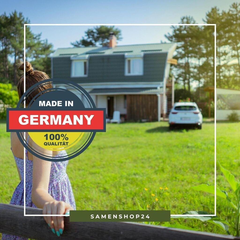 Kiepenkerl Kiepenkerl Blumenwiese 1kg - alternate view