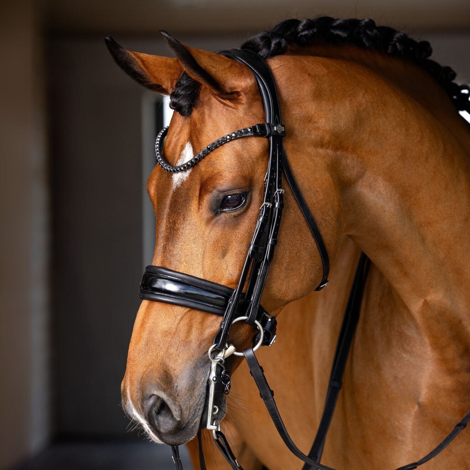 Bridon Mini-Shetty HKM – Rênes Anglaises, Strass, Pour Poney Shetland, Taille S, Noir