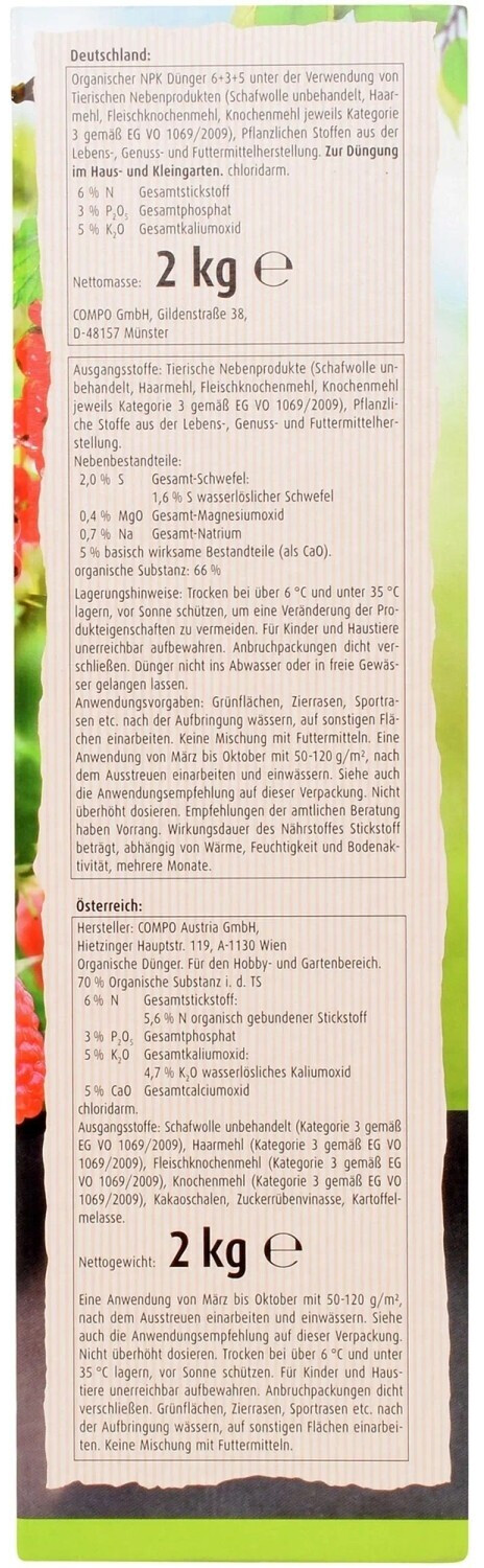 rotkohl düngen BIO Rotkohl Samen (Red Drumhead) main image 1