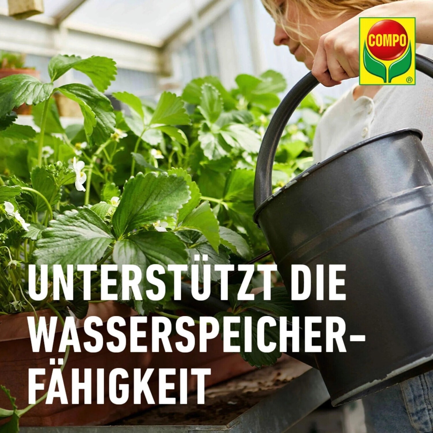 COMPO Beeren- & Obst-Langzeitdnger Bio mit Schafwolle 2 kg ab 13.19  |  Vergleiche 6 Angebote auf idealo.de