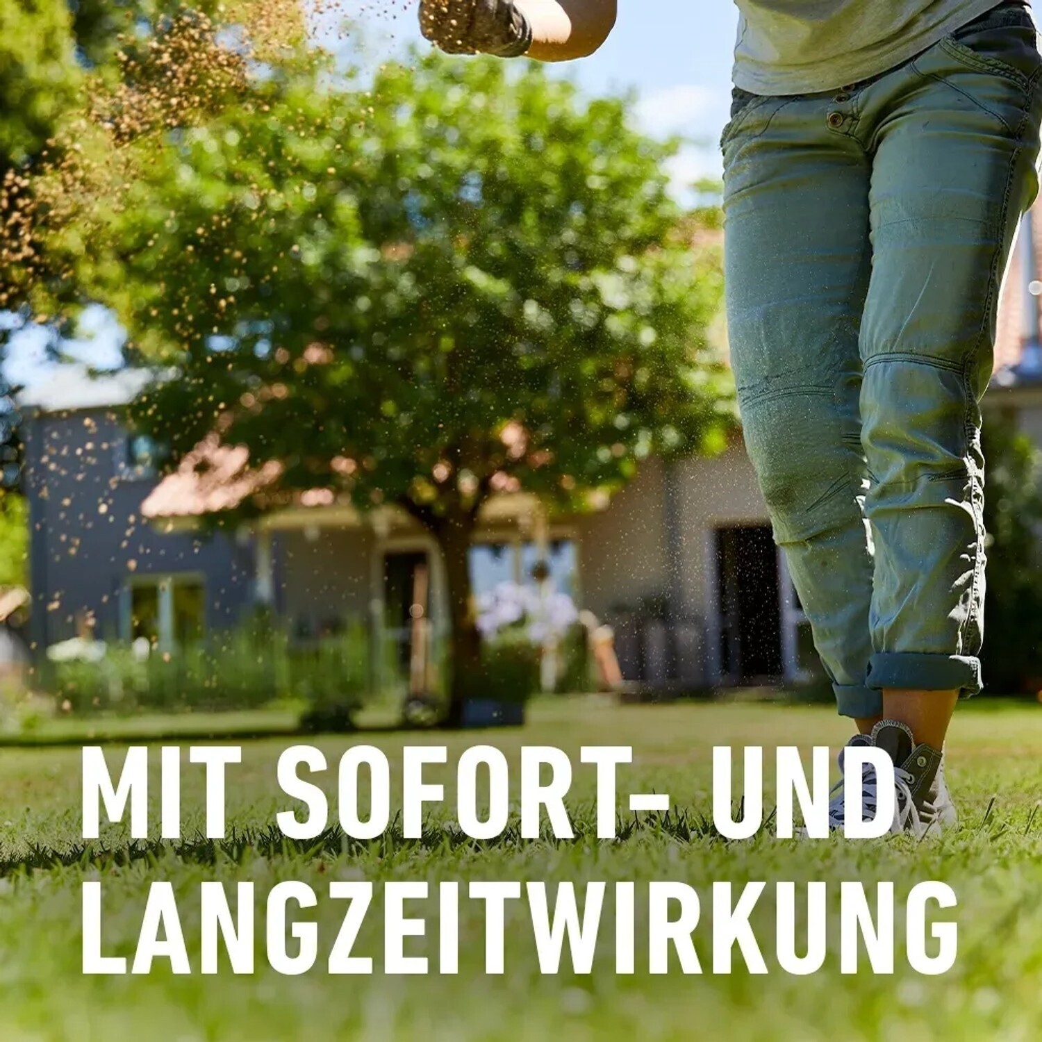 COMPO BIO Rasendnger 20 Kg Fr 500 M  Natrlicher Dnger Mit Extra  Phosphat Fr Sattgrnen Rasen COMPO Rasendnger 500m