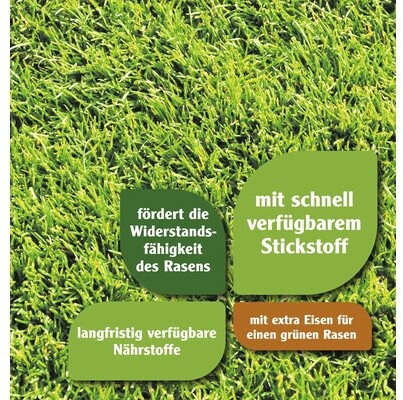 dnger fr blhpflanzen Purgrn Blumendnger 1 Liter