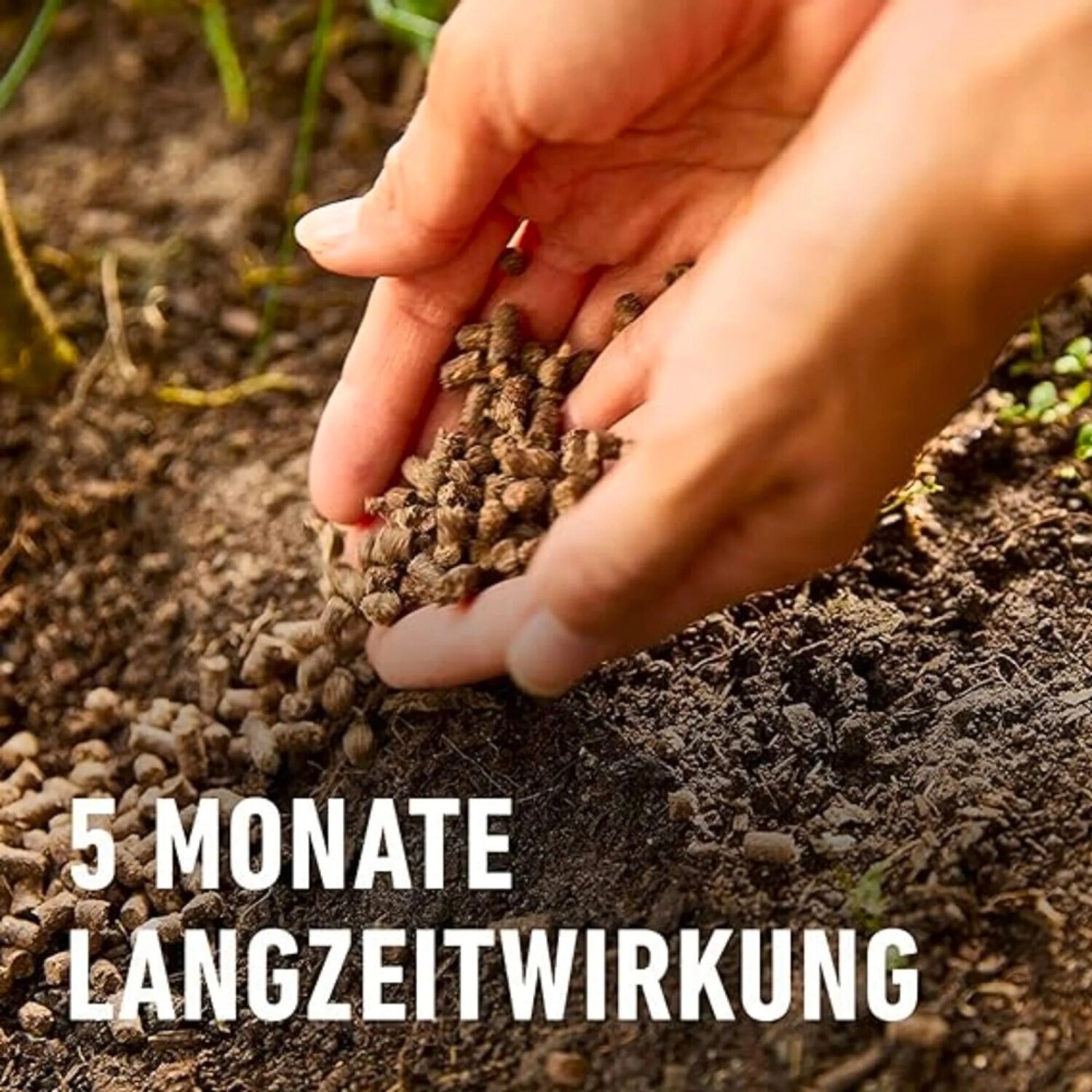 rasen als dünger verwenden DÜNGER FÜR KLEE main image 0