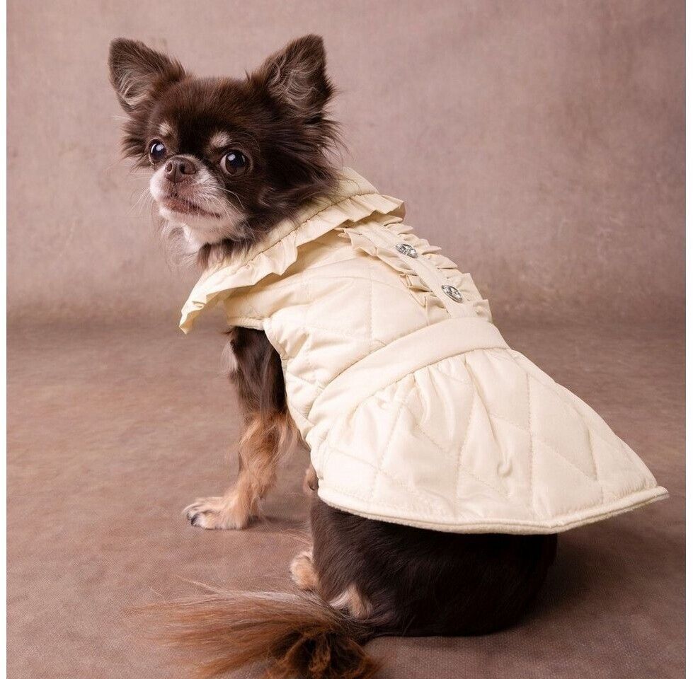 purinarmes trockenfutter hund Probierpaket Purinarmes Hundefutter