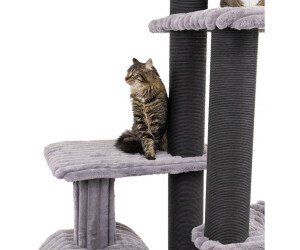 CanadianCat Canadian Cat Company Barrie ab 399.9  | Vergleiche 3 Angebote  auf idealo.de