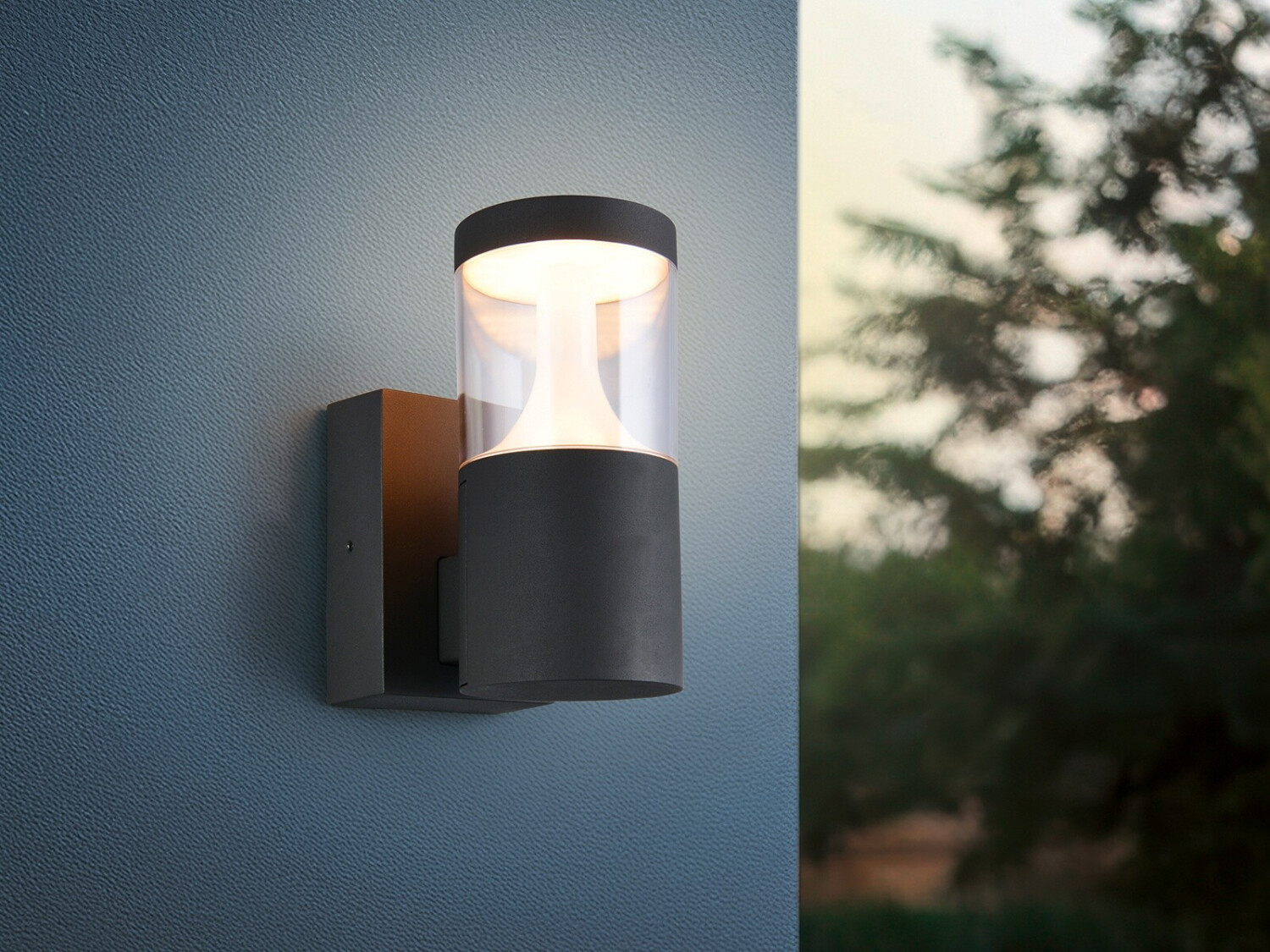Trio LED Außenwandleuchte TAGUS H24cm ab 148,80 € (Oktober 2026)