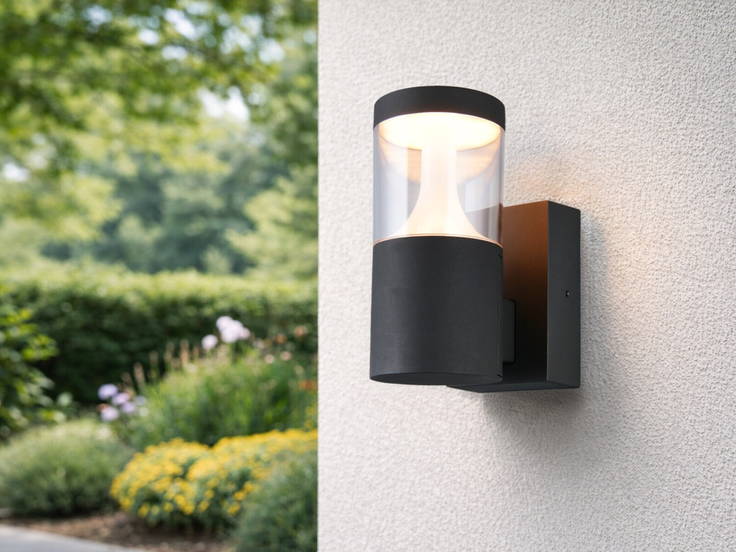 Trio LED Außenwandleuchte TAGUS H24cm ab 157,60 € (Oktober 2026)