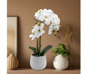 Spetebo Knstliche Real-Touch Orchidee im Keramiktopf, wei, 50cm (4418) ab  19,95  inkl. Versand | Vergleiche 4 Angebote auf idealo.de
