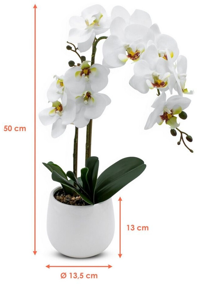 schöne vasen Vase 