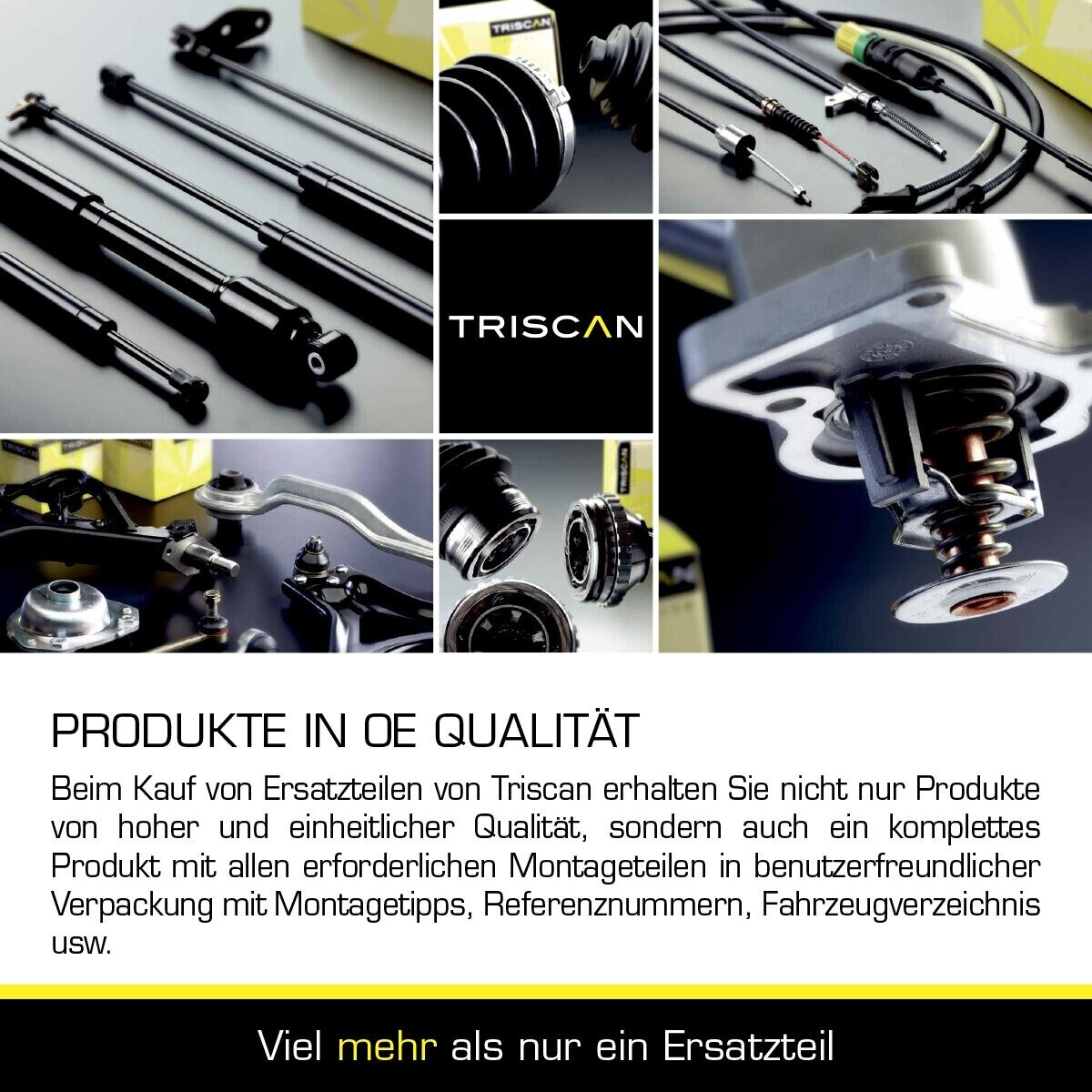Triscan Sensor Kühlmitteltemperatur (8626 10048) ab 5,99 ...
