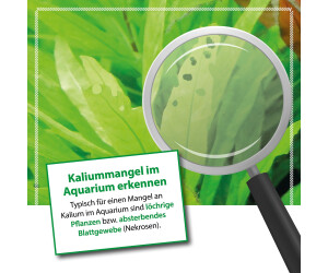 Arka Plants K Flssiger Kaliumdnger fr Aquariumpflanzen 473ml (BNGPO16)  ab 14,10  inkl. Versand | Vergleiche 5 Angebote auf idealo.de
