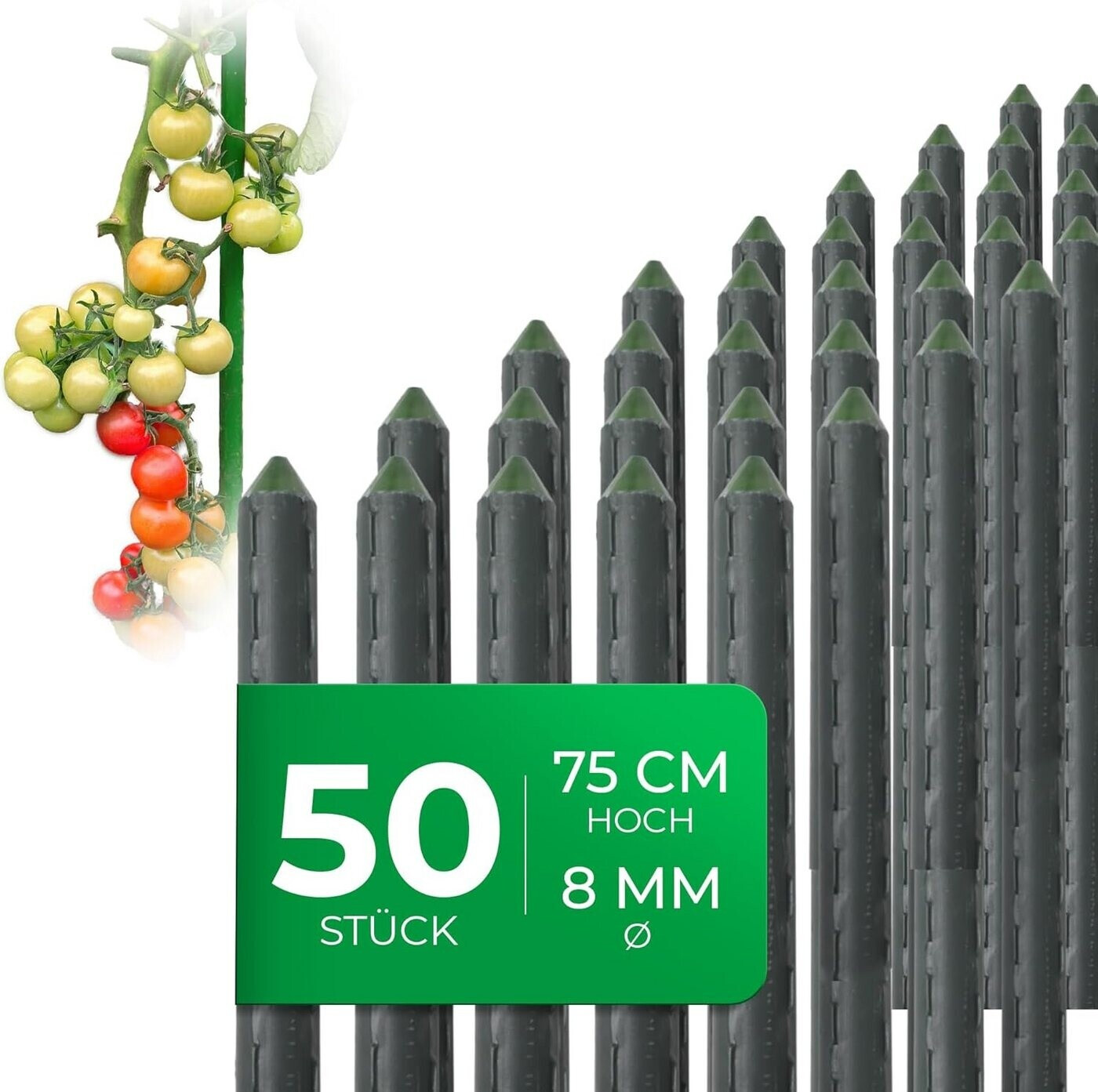 blumenkasten mediterran bepflanzen Balkonbox Evergreen Elegance kaufen