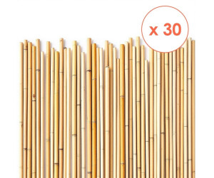 Spetebo Bambus Pflanzstbe 105cm, 8-10mm, 30er-Set (Tonkin) ab 22.95  |  Vergleiche 4 Angebote auf idealo.de