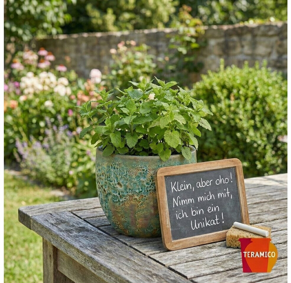 petunien im blumenkasten Blumensamen Balkonkasten Mischung main image 1