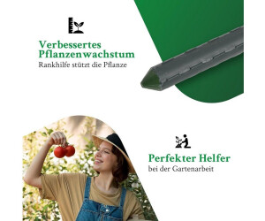 rankgitter mit blumenkasten robinia-pro PFLANZKASTEN mit RANKGITTER klassisch, auf Rollen  robinia24