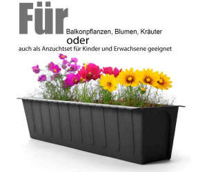 BigDean Paletten-Blumenkasten Einsatz Anthrazit, Kunststoff, 20 Stck  (1770500) ab 41.18  | Vergleiche 4 Angebote auf idealo.de