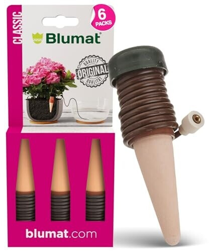 zimmerpflanze tute Schnellwachsendes Pflanzen-Set