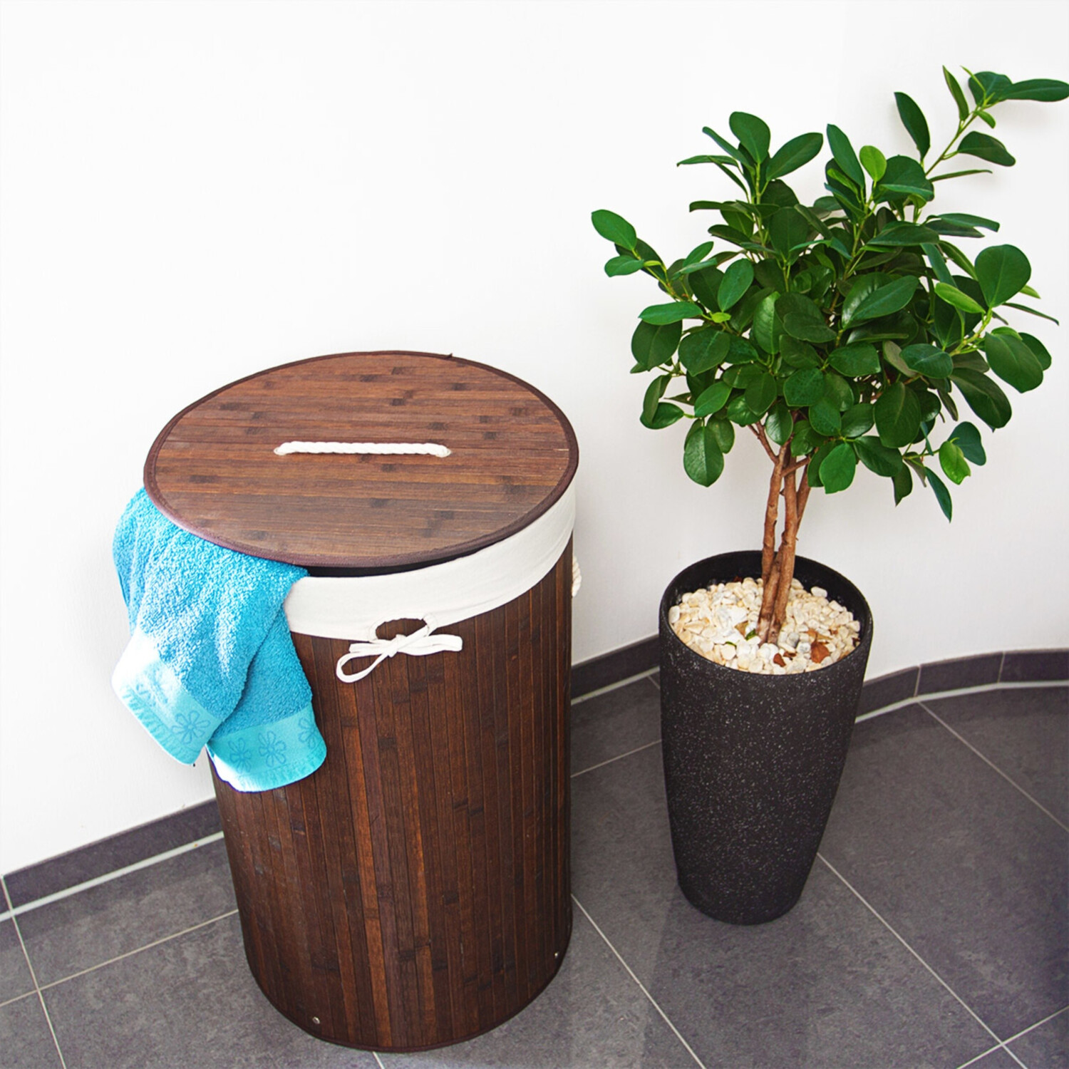 bambus 80 cm Bambus fr den Balkon kaufen  Green Me Up