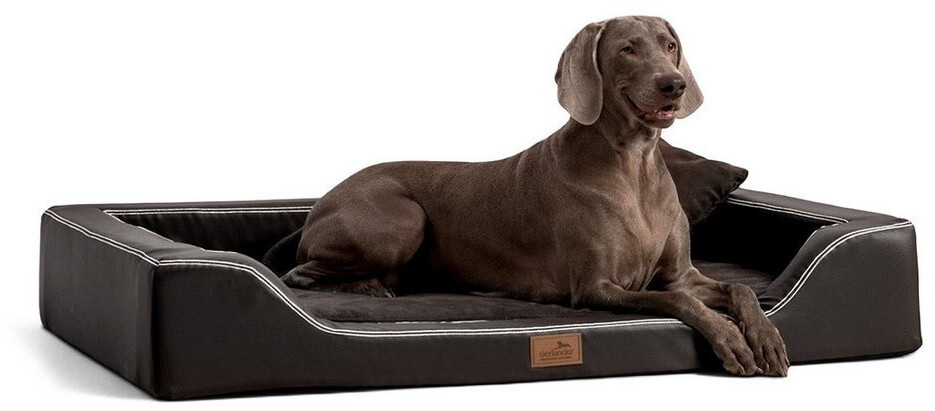 orlando pure taste nassfutter Schnabeltanz | Premium Trockenfutter fr Katzen