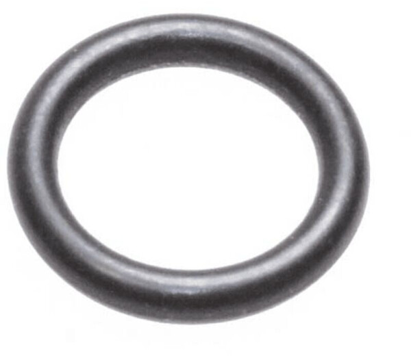 Saeco Dichtring - 12001613