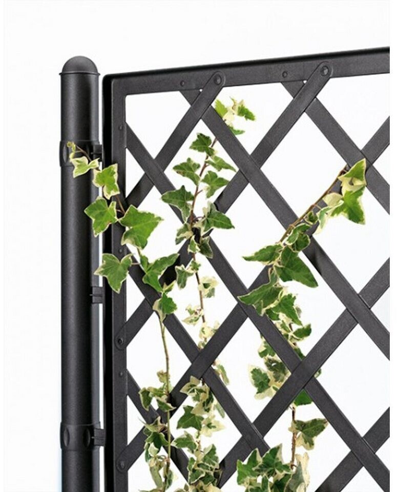 Kreher Rankgitter mit Pflanzkasten Rattan-Optik Kunststoff Anthrazit  100x43x142cm (89952) ab 109  | Vergleiche 1 Angebote auf idealo.de