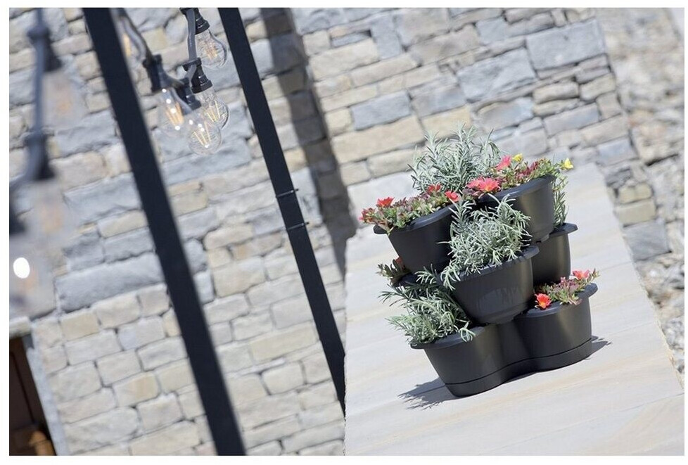 blumenkasten mit rollen gro Pflanzkasten aus Massivholz auf Rollen