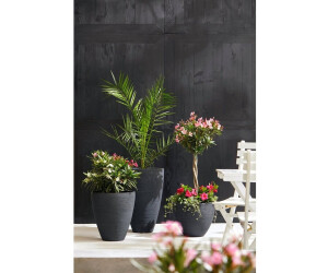 Dehner San Diego Blumentopf konisch Kunststoff anthrazit (2937720) ab 19.99   | Vergleiche 4 Angebote auf idealo.de