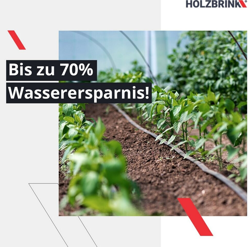 glcksblatt zimmerpflanze Oxalis triangularis "Mijke"