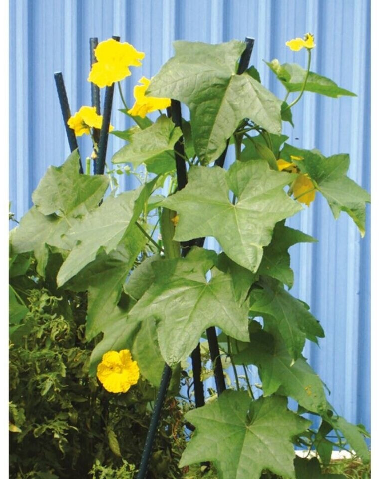 blumenkasten florabest Blumenkasten Lärche Natur inkl. Stoffeinsatz - fertig montiert main image 0