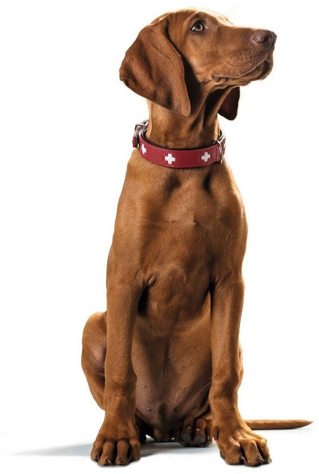 HUNTER Collier pour chien Swiss 75 dog collar Red Black HUNTER Collier pour chien Swiss 75 dog collar Red Black