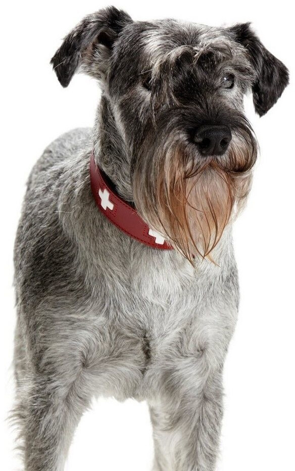 HUNTER Collier pour chien Swiss 75 dog collar Red Black HUNTER Collier pour chien Swiss 75 dog collar Red Black