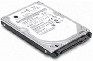 IBM Hot Swap SAS 600 Go (49Y3729)