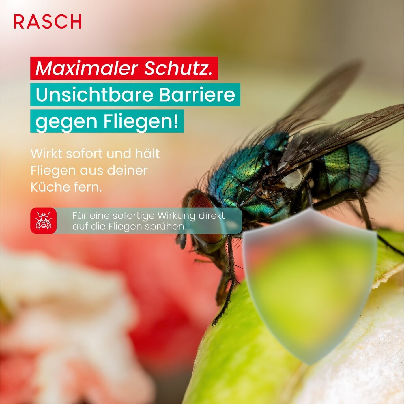 Rasch Home Defender Spinnen Stop Power Spray – Anti-Spinnen-Spray 500 Ml, Langzeitwirkung, Für Innen & Außen, Gegen Alle Spinnenarten