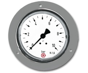 RIEGLER Standard-Manometer 100 Mm – Stahlblech, G 1/4 Hinten Zentrisch, 0-6 Bar, Klasse 2,5, Für Flüssige & Gasförmige Medien
