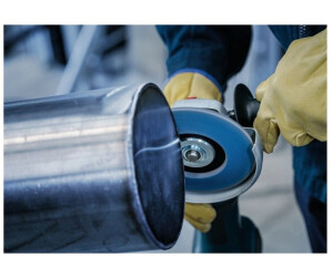 Bosch X451 Fächerschleifscheibe 125mm K60 T29, 15 Stück (2608626176) ab 20.59 € | Vergleiche 14 Angebote auf