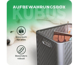 Novaliv Faltbox 30x30x30cm Kunststoff, 4er-Set (30952-4x) ab 62,99 € (Oktober 2026)