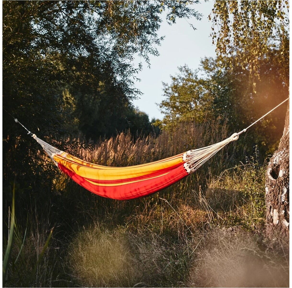 durabil markise fernbedienung Dooya DC1600A für Markisen & LED chest-rig-turkey-kit Monstera-Erde, Aroid-Erde Kaufen? ✓ Schaum:Duo