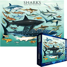 Eurographics Puzzles Requins