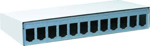 Ria-BTR Patchfeld E-DAT 12 Port
